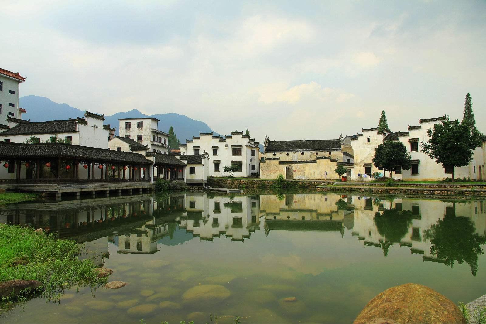 救援小蝙蝠